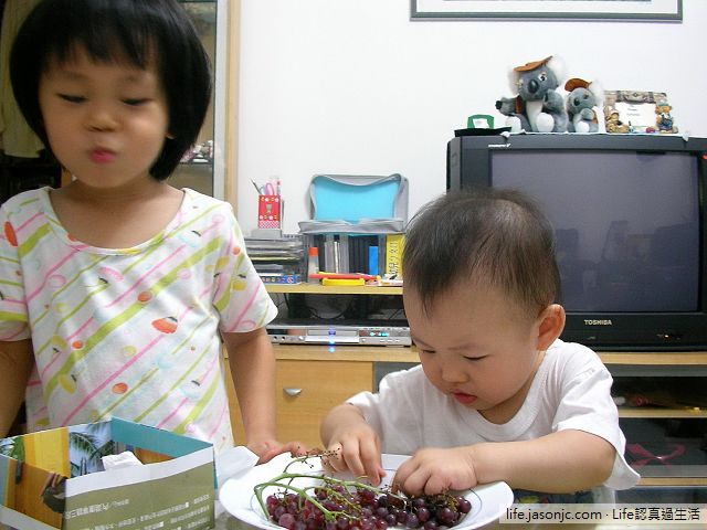 日本迷你無籽珍珠葡萄，讓人停不下手來，一粒接一粒