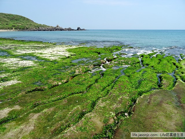 （北海岸景點）老梅綠石槽：季節限定的自然景觀，交通、鄰近停車場