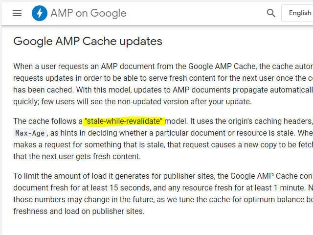 （軟體）Google AMP是什麼？繞了2圈經驗談（裝還是不裝？）