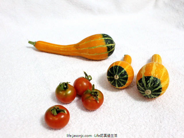 （自己種菜）小番茄、玩具南瓜：龍鳳瓢