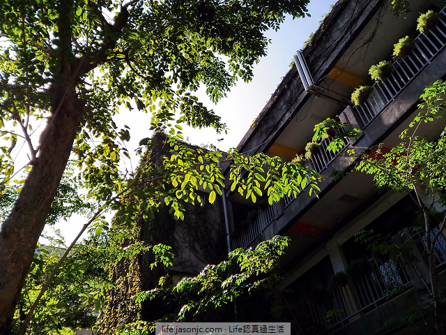 被綠意圍繞的台北科技大學